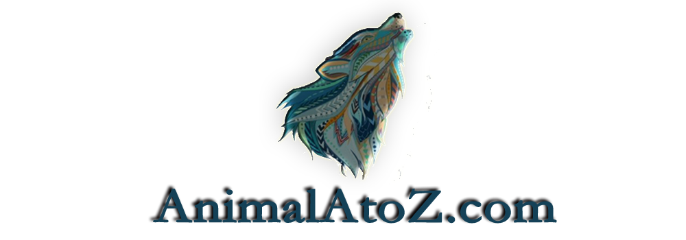 AnimalAtoZ.com