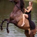 ride a Fell Pony