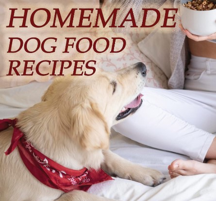 homemade dog food